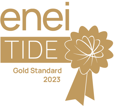 Steer enei-TIDE-Gold-Standard-2023